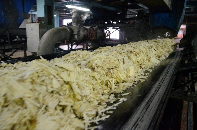 Eskişehir Şeker’in 84 yıllık serüveni