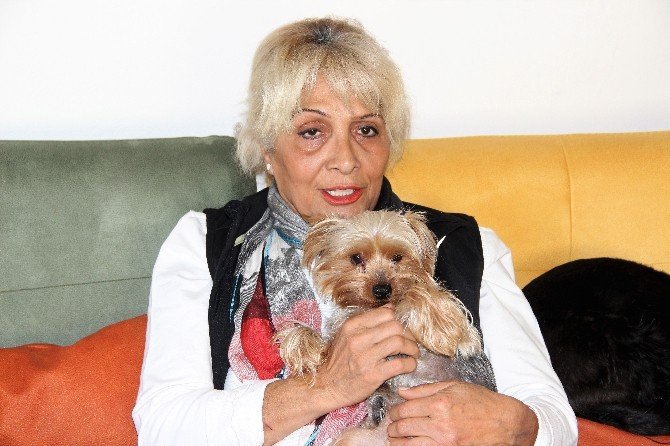 Sokakta kalan “Golden Çetesi” lüks villaya yerleşti