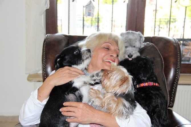 Sokakta kalan “Golden Çetesi” lüks villaya yerleşti