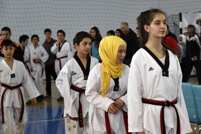 Anadolu Yıldızlar Ligi Taekwondo grup müsabakaları Gümüşhane’de devam ediyor