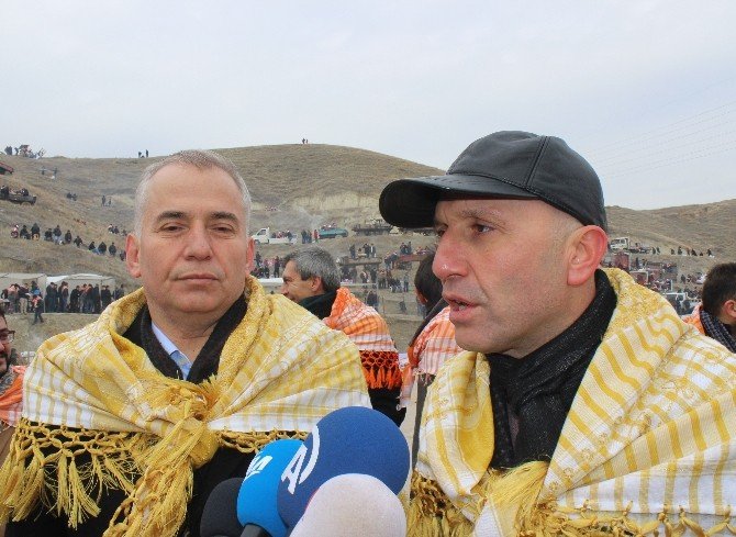 Denizli’de 33’üncü deve güreşleri festivali