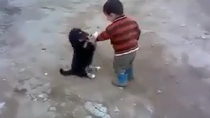 Minik çocukla yavru köpeğin müthiş kavgası