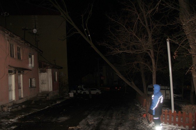 Bolu’da kuvvetli lodos ağaçları devirdi