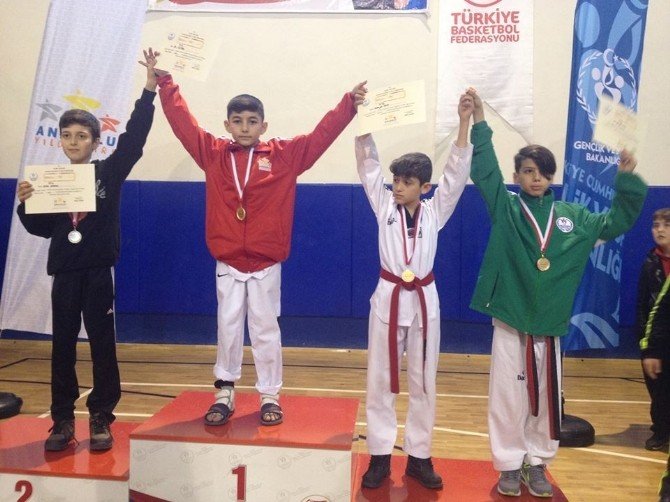 Yıldızlar Anadolu Ligine Dodurgalı taekwondocular damga vurdu