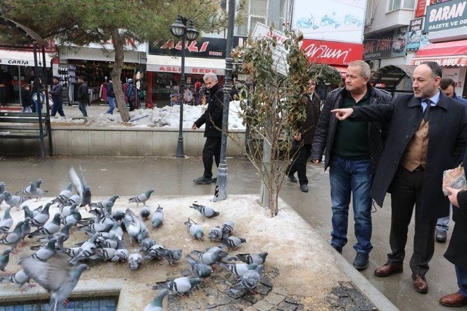 Kırıkkale Belediye Başkanı Saygılı kuş katliamının takipcisiyiz