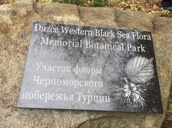 Düzce Üniversitesi adına botanik hatıra parkı oluşturuldu