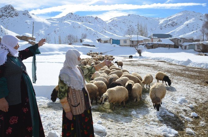 Yüksekova’da aylardır kapalı olan köy yolu açıldı