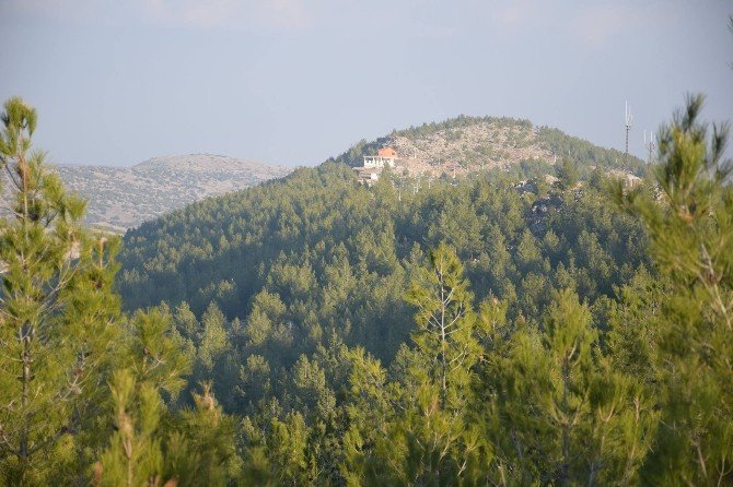 Mesire yeri çalışmalarında sona yaklaşıldı.
