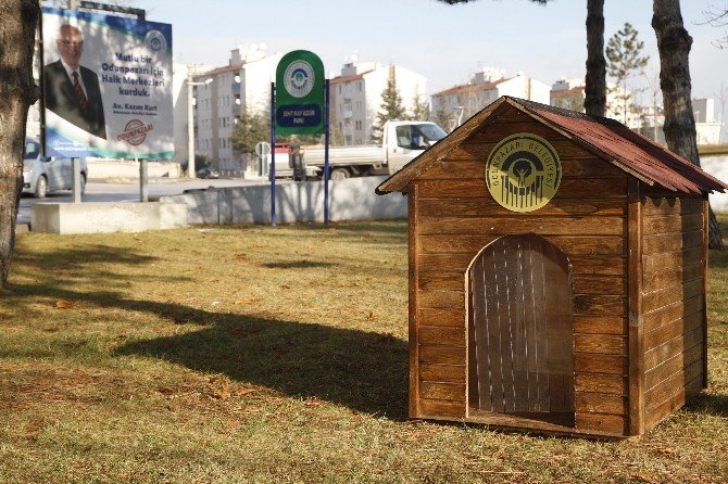 Odunpazarı Belediyesi sokak hayvanlarını unutmadı