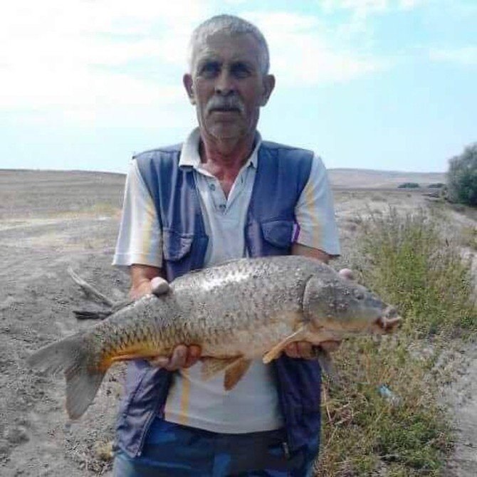 Eskişehir’de toplu balık ölümleri