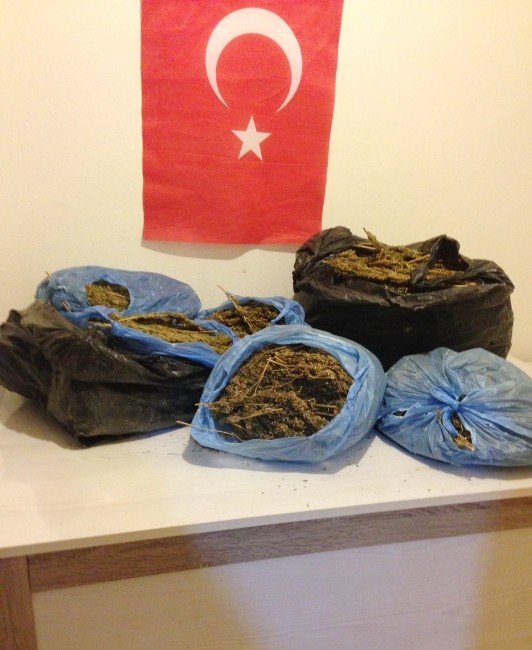 Mardin’de kaçak sigara ve esrar ele geçirildi