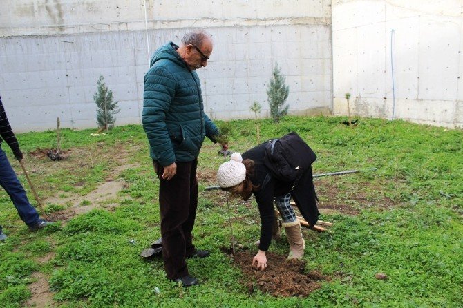 Ölen çocukları için hastane bahçesini ağaçlandırdılar