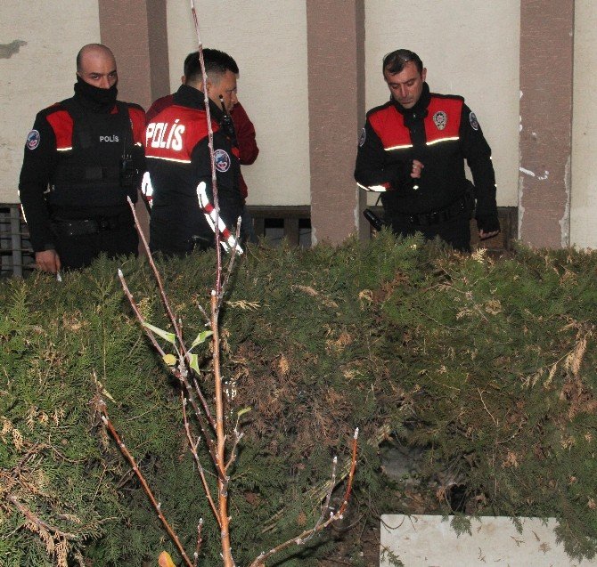 Adana’da bahçeye atılmış suikast silahı bulundu