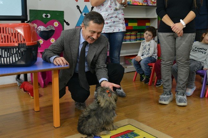 Tepebaşı Belediyesi anaokulu öğrencilerine hayvan sevgisi aşıladı