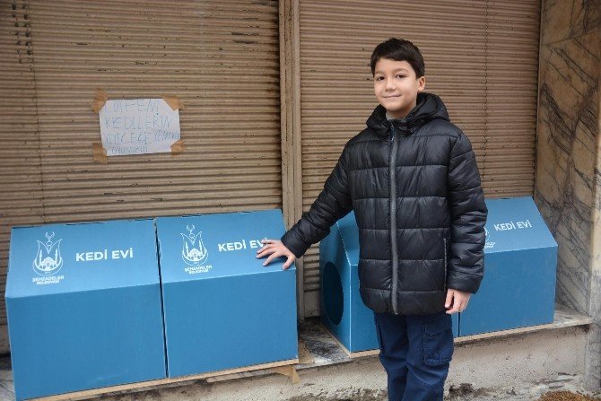 Minik Mesut’un duyarlılığı kedileri donmaktan kurtardı