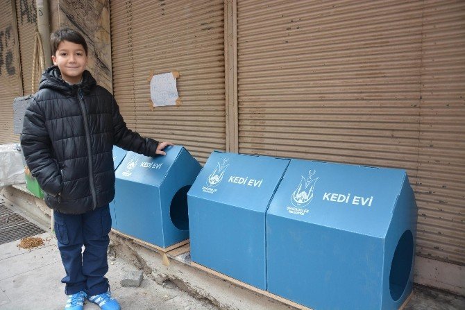 Minik Mesut’un duyarlılığı kedileri donmaktan kurtardı