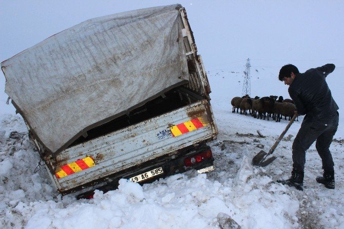 Gebe hayvan yüklü kamyonet şarampole düştü