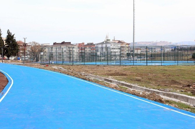 Bandırma’nın ciğerleri yeniden hayat buldu
