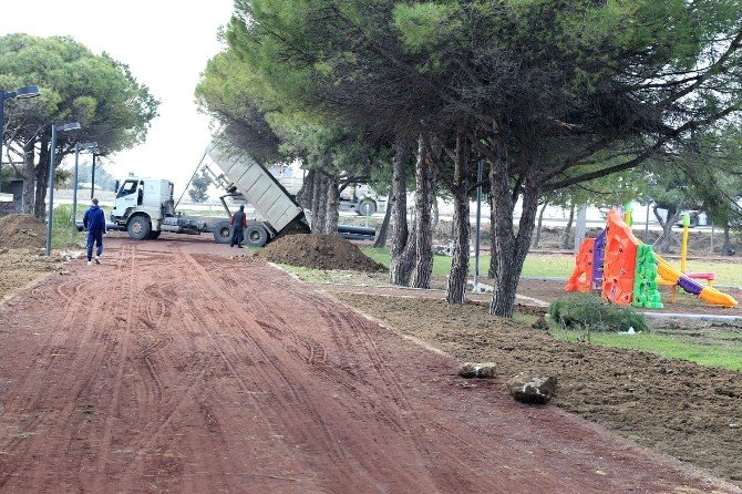 Bandırma’nın ciğerleri yeniden hayat buldu