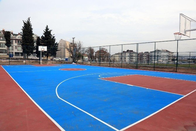 Bandırma’nın ciğerleri yeniden hayat buldu