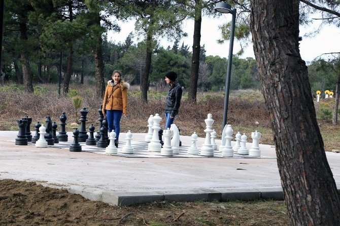 Bandırma’nın ciğerleri yeniden hayat buldu