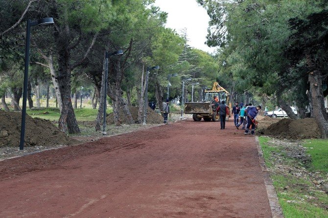 Bandırma’nın ciğerleri yeniden hayat buldu