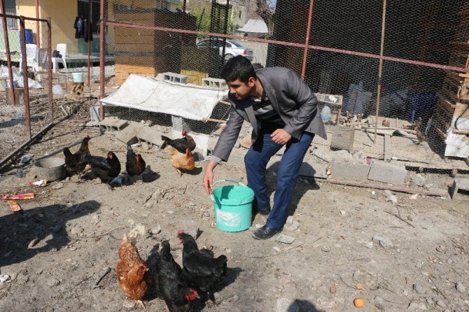 Köy muhtarı tavukları ölümden kurtardı