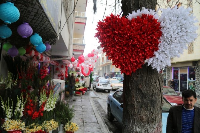 Kabil’in çiçek sokağı