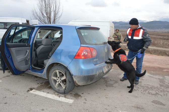 Jandarma narkotik köpekleriyle uygulama yaptı