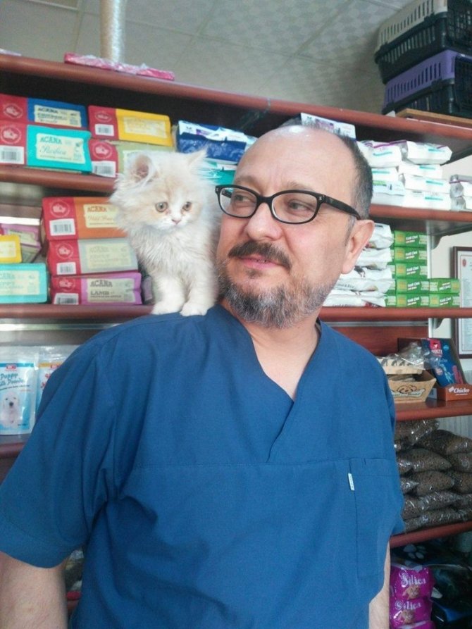 Kedilerde nezle salgını