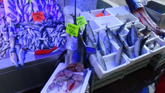 Bilecik’te 1 metre 70 santim boyundaki kılıç balığı görenleri hayrete düşürdü
