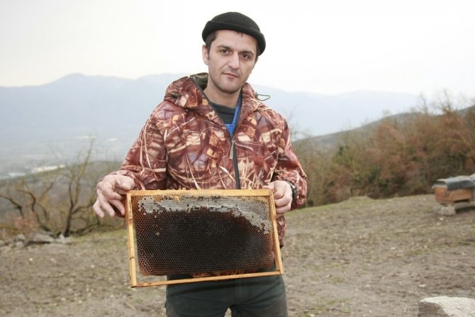 Bursa’da şok eden arı ölümleri