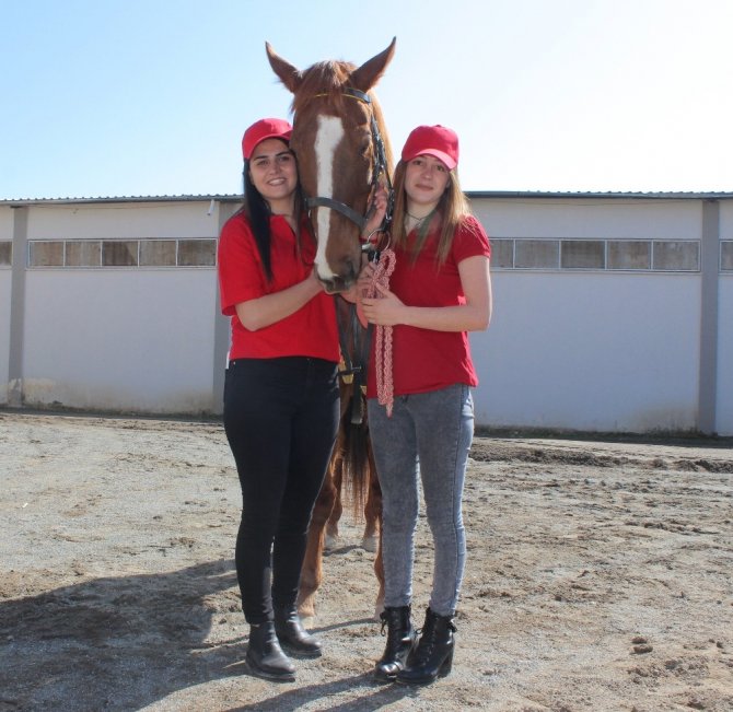 Elazığ’da lisanslı kadın seyisler yetişiyor