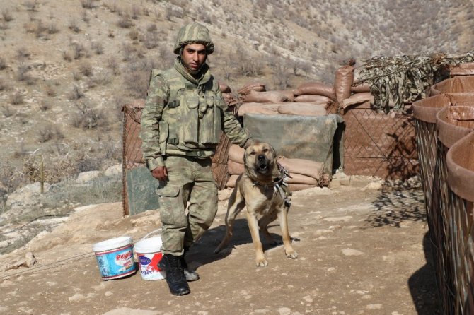 Kahraman Mehletçik Gabar’a huzuru getirdi