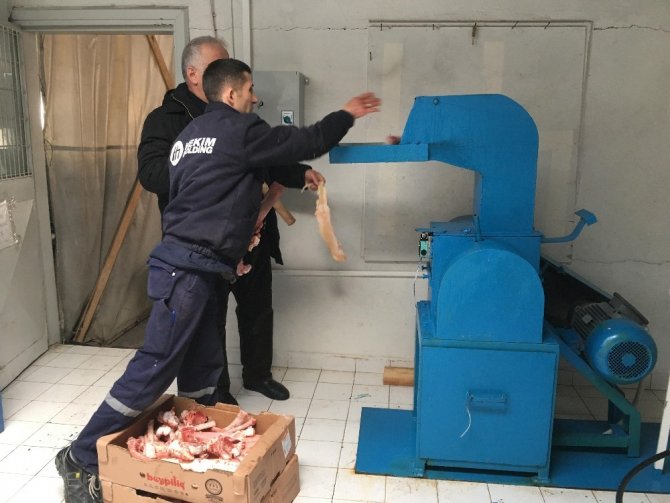 Sokak köpekleri için aşevi açtı