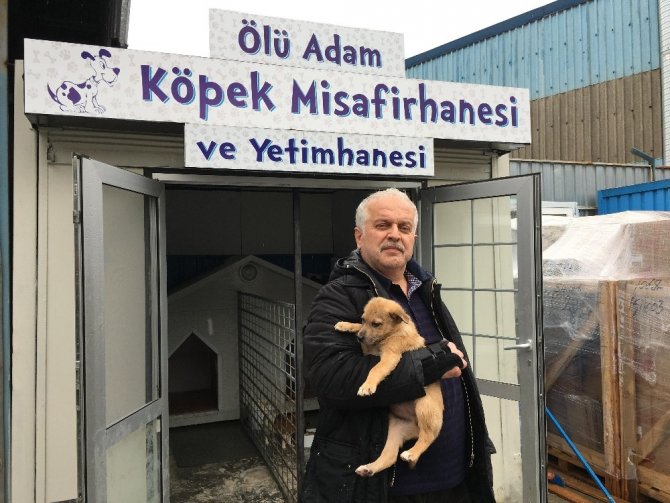 Sokak köpekleri için aşevi açtı