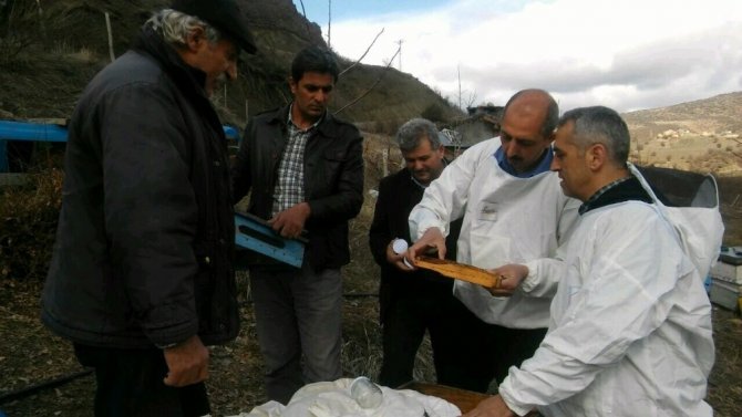 Tunceli’deki arı ölümleri inceleniyor