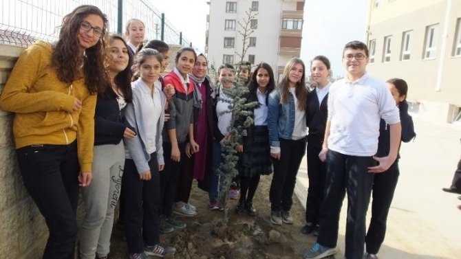 Burhaniyeli öğrencilerin dikili ağacı oldu