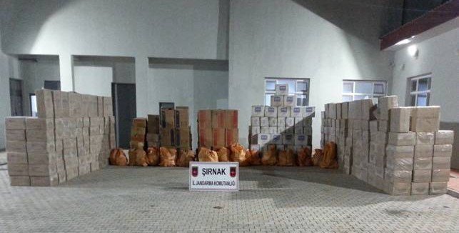 Şırnak’ta 105 bin 486 paket kaçak sigara ele geçirildi
