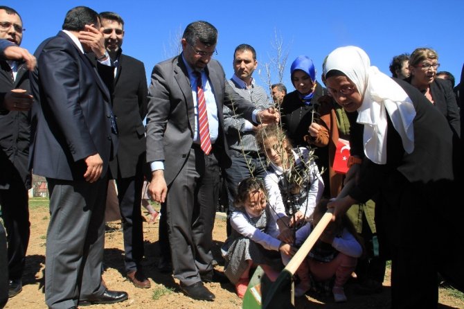 Mülteci çocuklar barışın sembolü zeytin fidanlarını toprakla buluşturdu