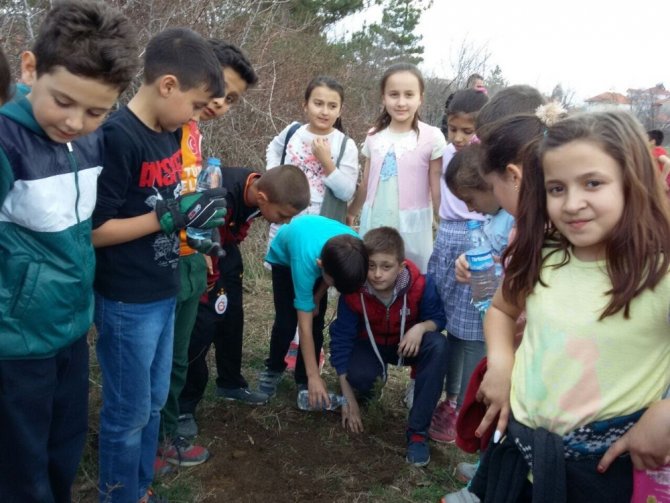 Atatürk İlkokulunda Orman Haftası kutlama etkinliği