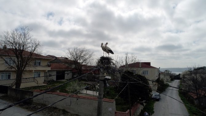 İstanbul’un “Leylekli köyü” havadan görüntülendi