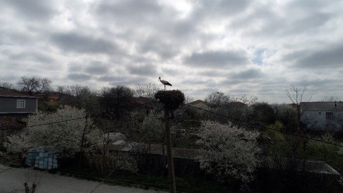 İstanbul’un “Leylekli köyü” havadan görüntülendi