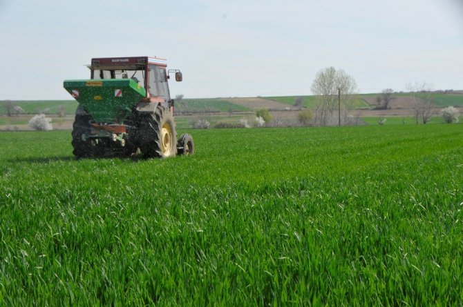 Trakya’da çiftçiler buğday gübreleme mesaisine başladı