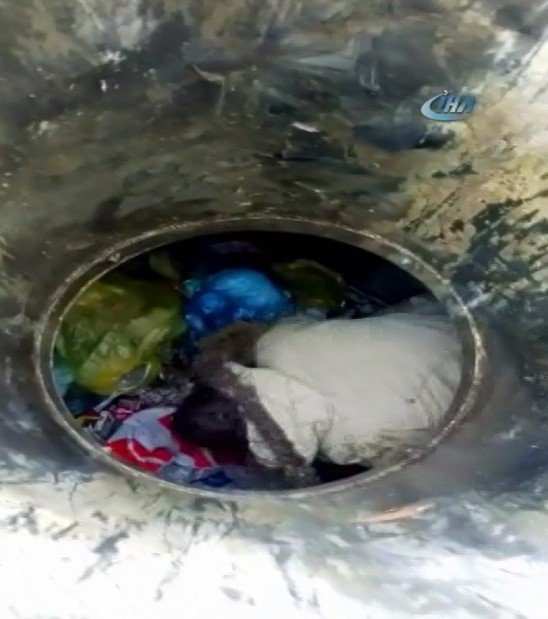 Bonzai içen Suriyeli deniz zannederek çöp konteynerine daldı