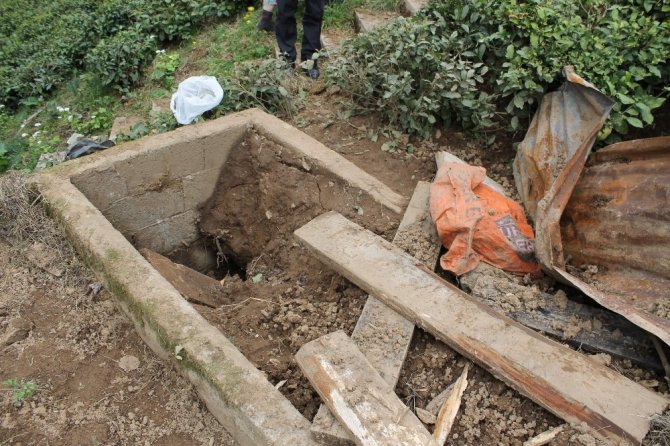 İkizdere’de ayılar mezarlara dadandı