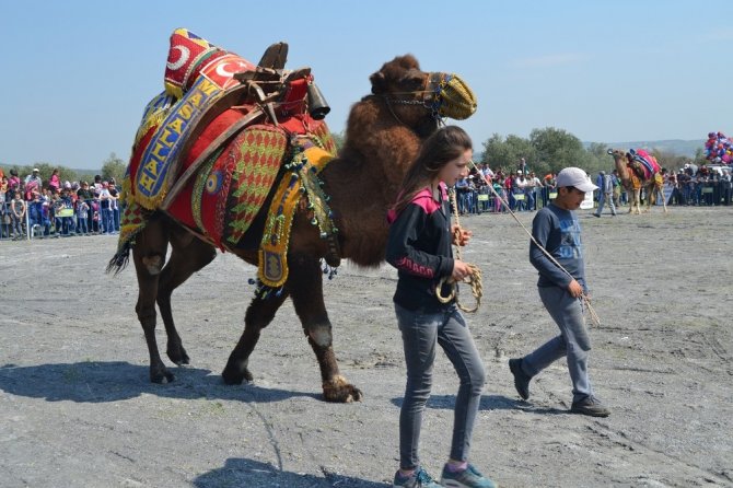 Çakmaklı 5. geleneksel deve güreşleri yapıldı