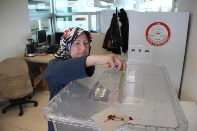 Kapıkule’de referandum oylaması başladı