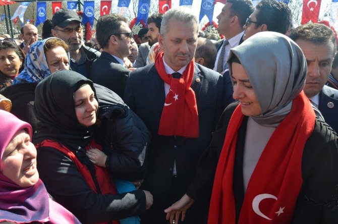 Bakan Kaya: “Hayır diyen bir Avrupa, bir Kandil var”