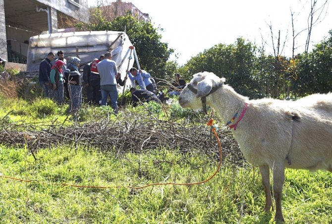 Kuyuya düşen hamile keçiyi itfaiye kurtardı